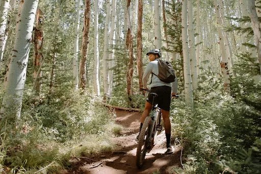 mountain biker in the woods