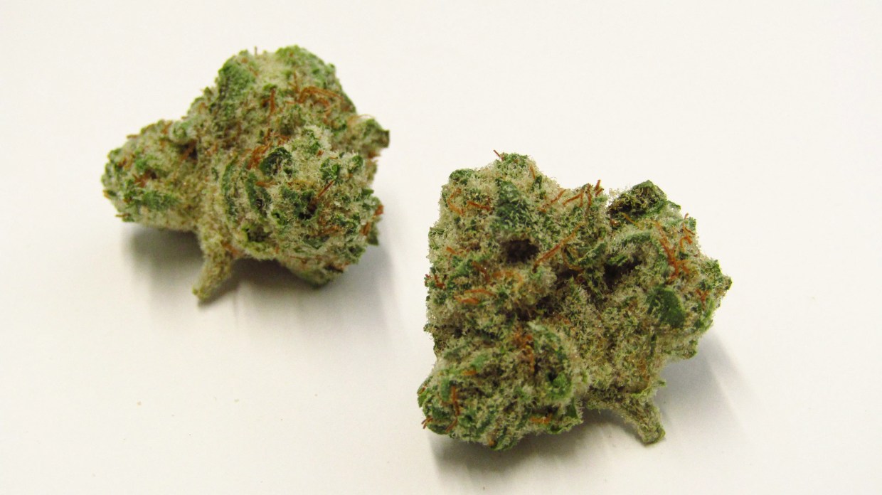 Why Colorado Tokers Love Super Boof