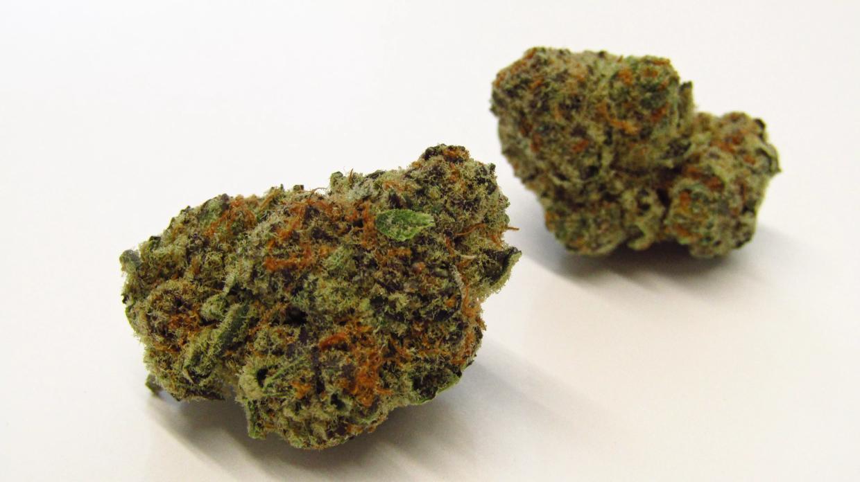 Why Colorado Tokers Love Sugar Cane