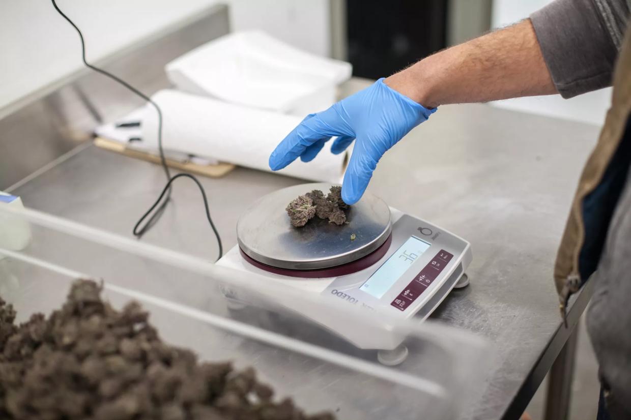 New Marijuana Business Rules Take Effect, With “Use-By Dates” on the Horizon