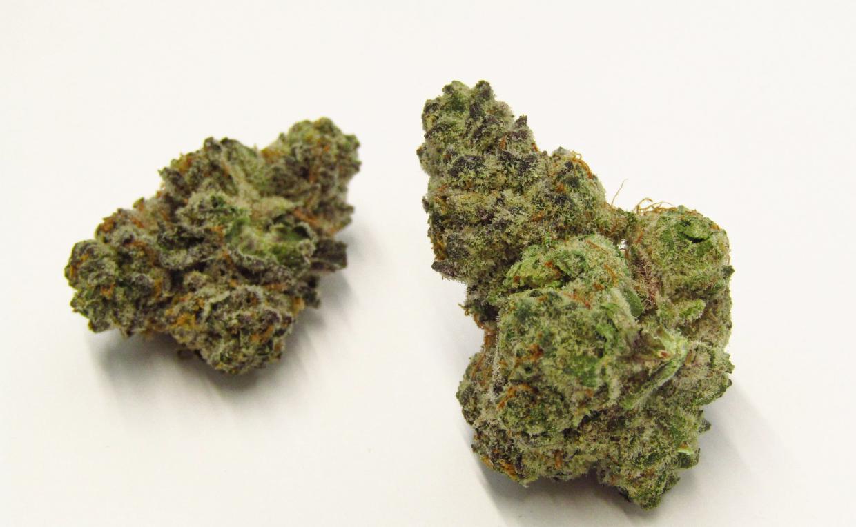 Why Colorado Tokers Love Melon Juice