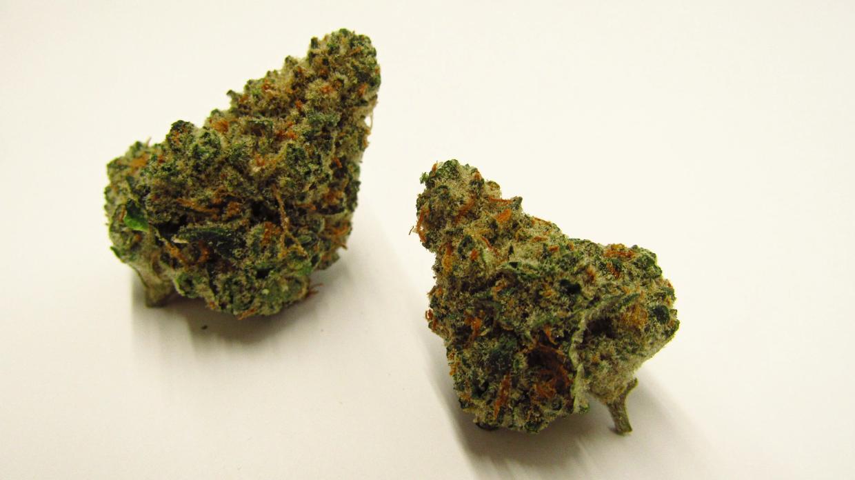 Why Colorado Tokers Love Moroccan Kush