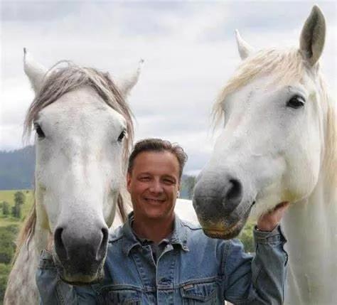 Colorado and Wyoming: A Study in Contrasts on Wild Horse Policy