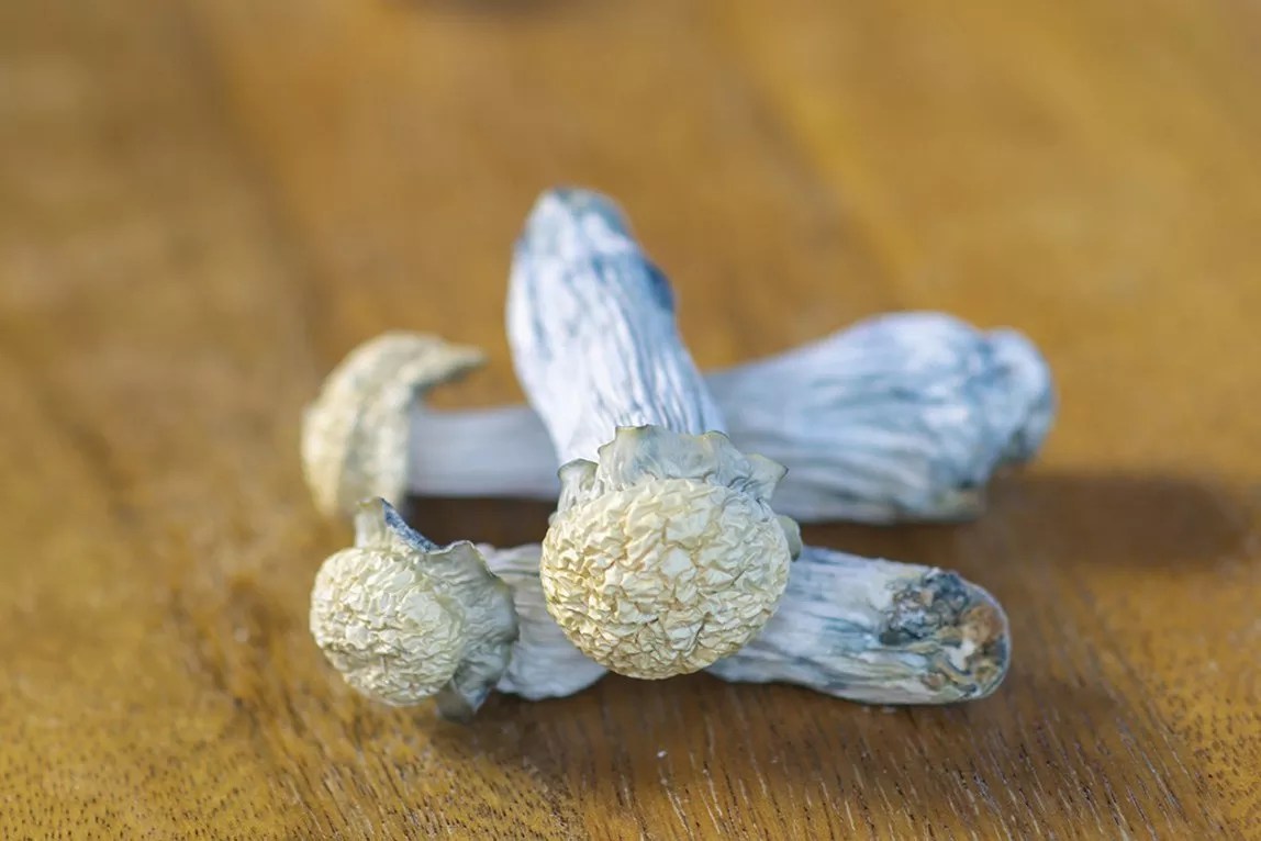 State Senate Advances Psychedelic Framework Without Local Ban Authority