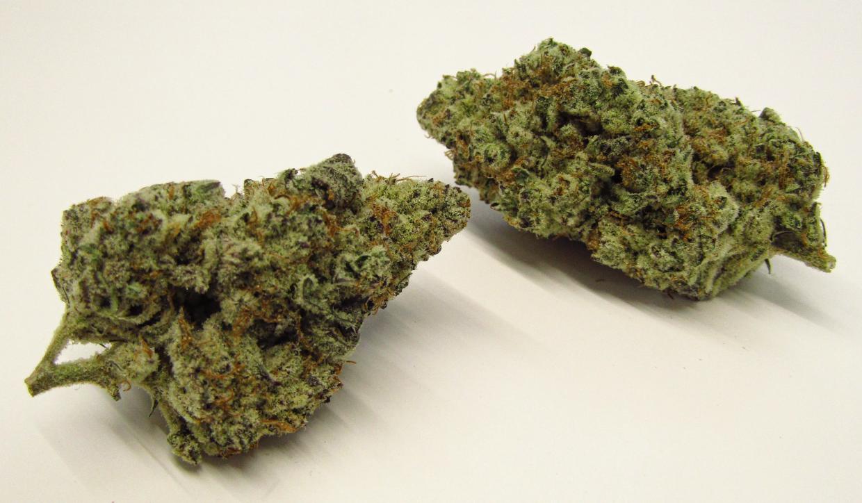 Dante's Inferno is a potent and popular cannabis strain in 2023.