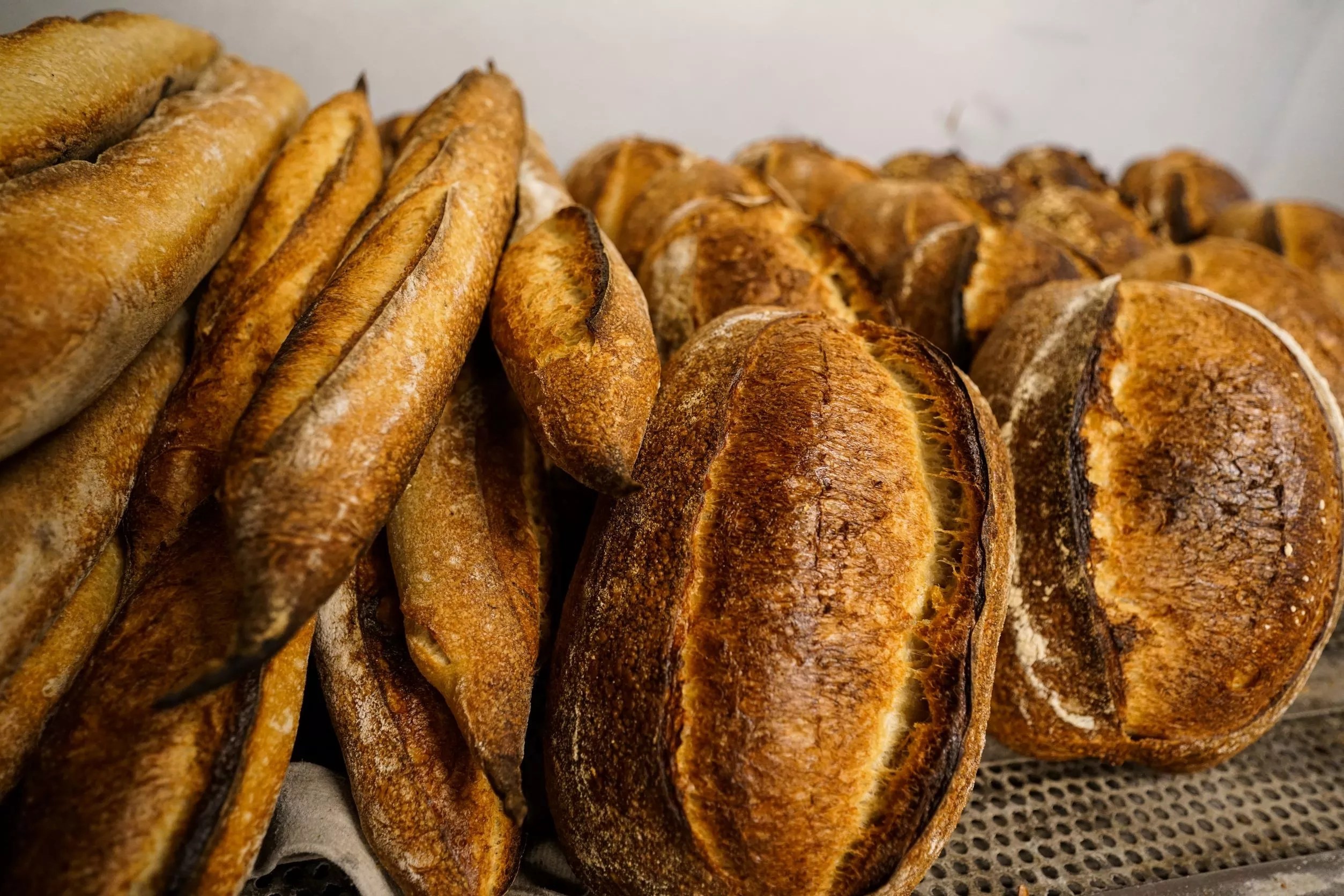 Loaves of artisan bread