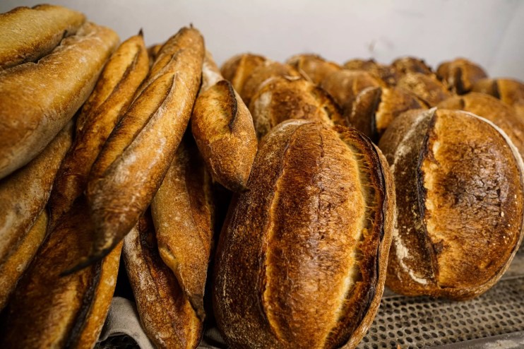 Loaves of artisan bread
