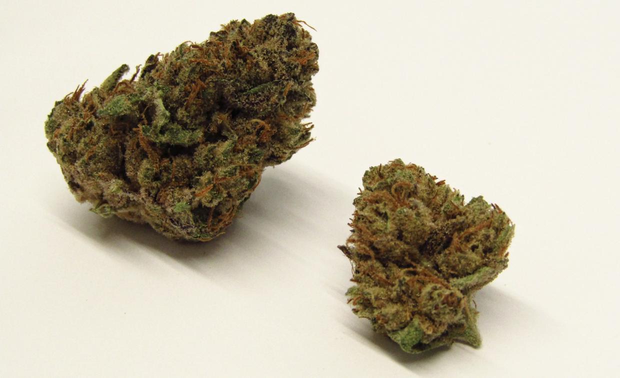 Banana Punch cannabis strain