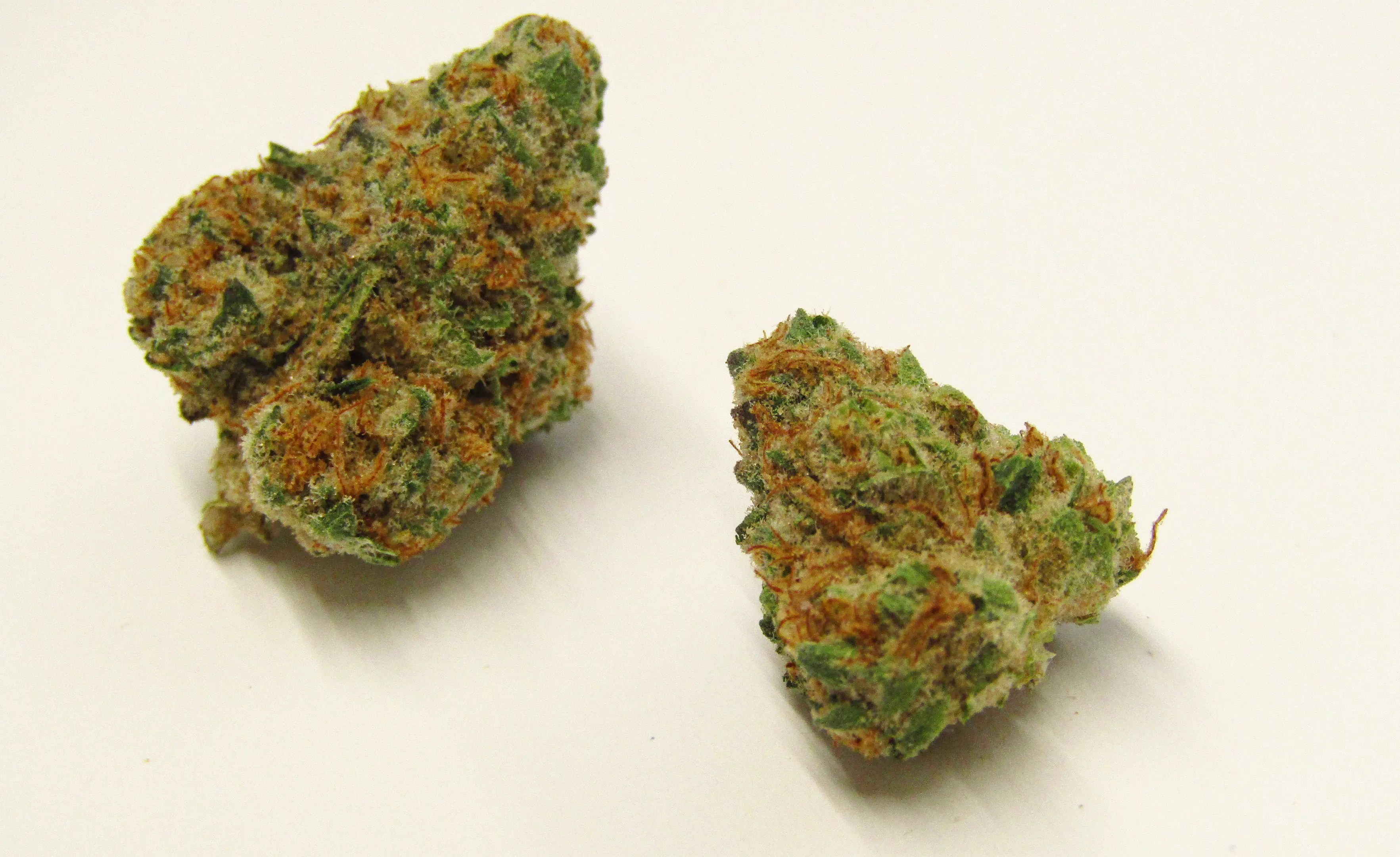 Blue Garlic cannabis strain