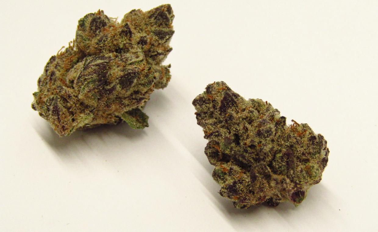 Devil Driver cannabis strain
