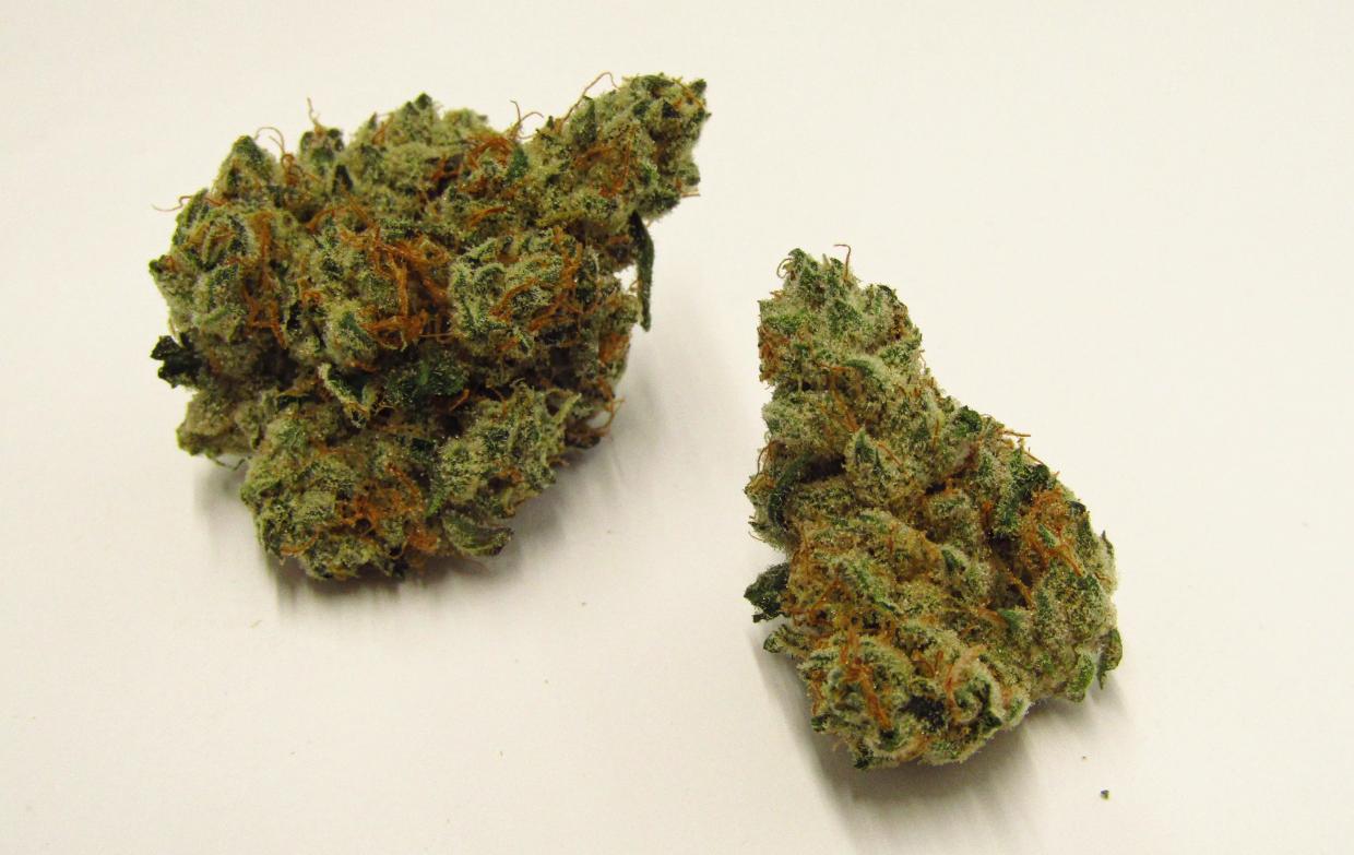 Garlic Cocktail cannabis strain
