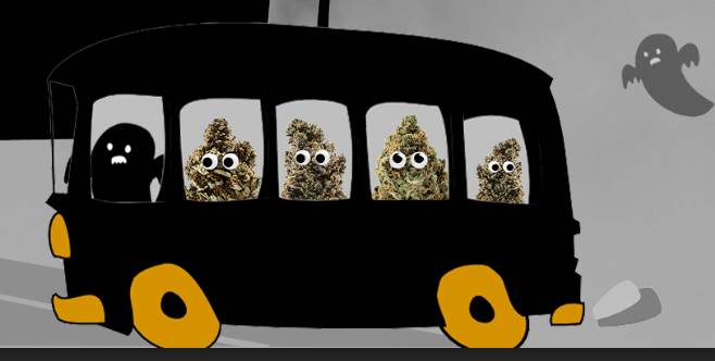 Cannabis on a bus