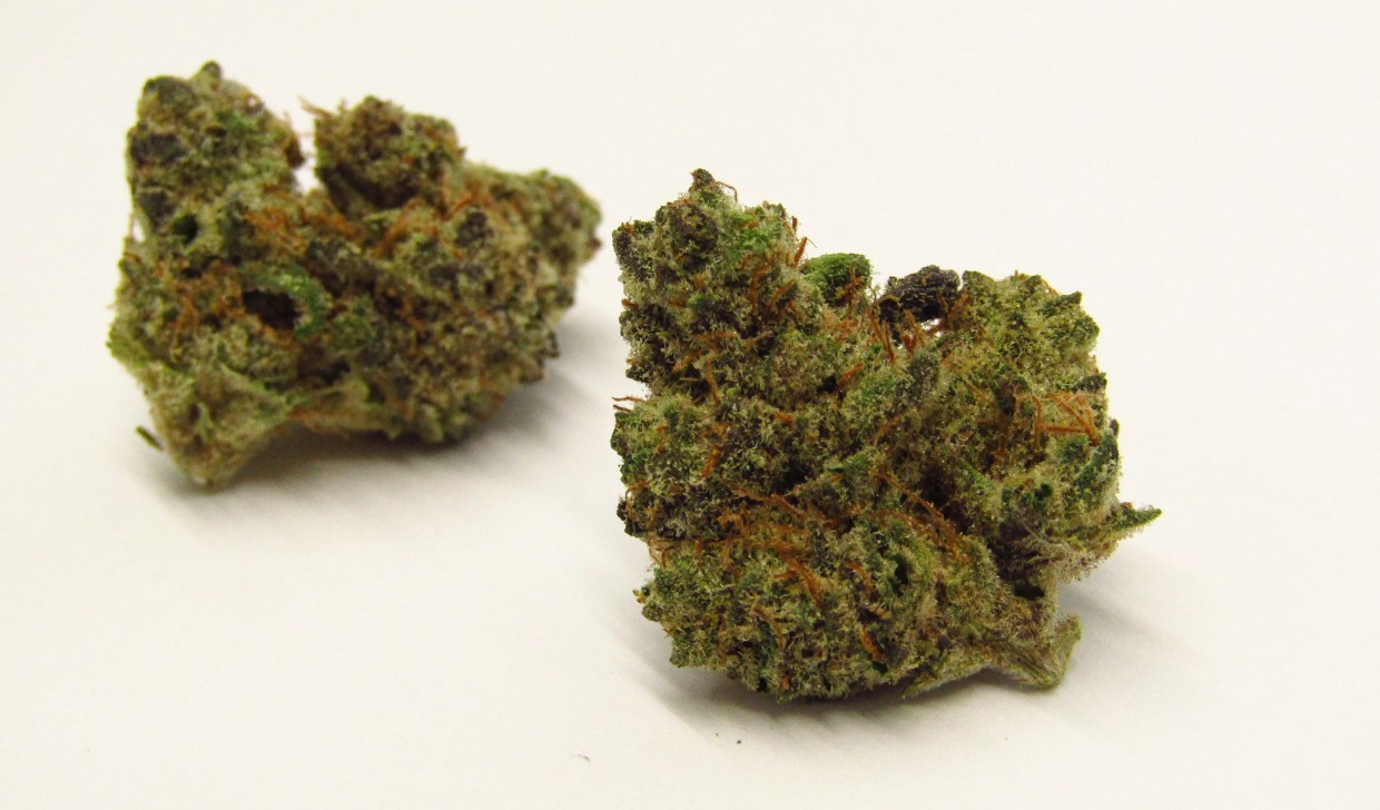 Strawberry Cheesecake cannabis strain