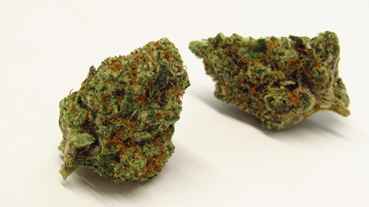 Papaya Runtz strain