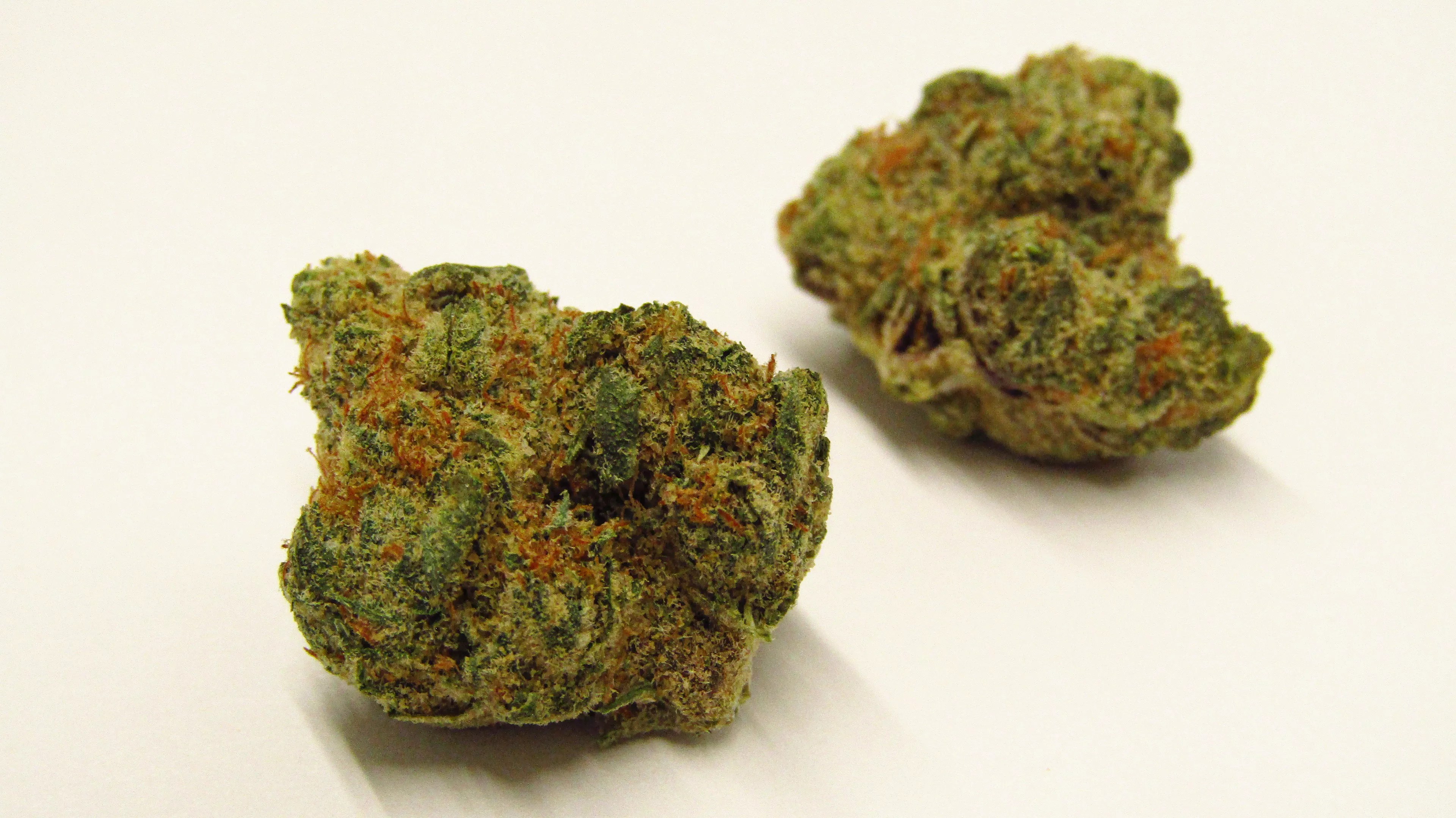 Fritter Cake strain