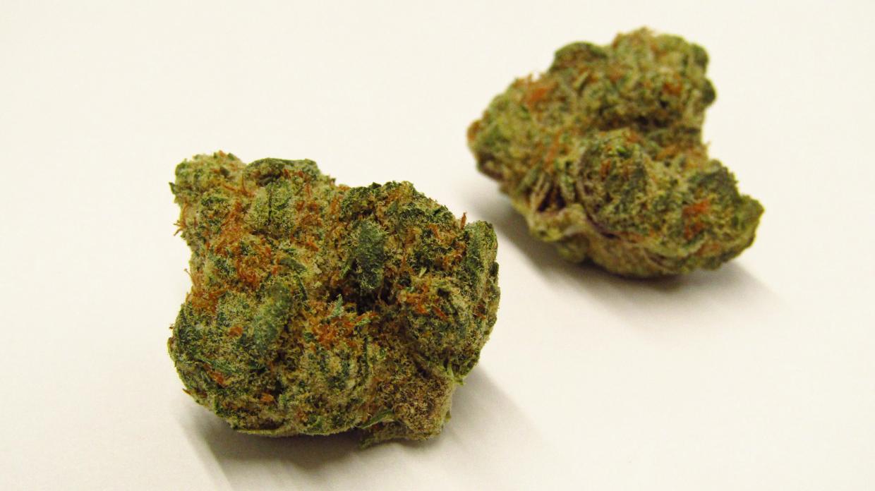 Fritter Cake strain