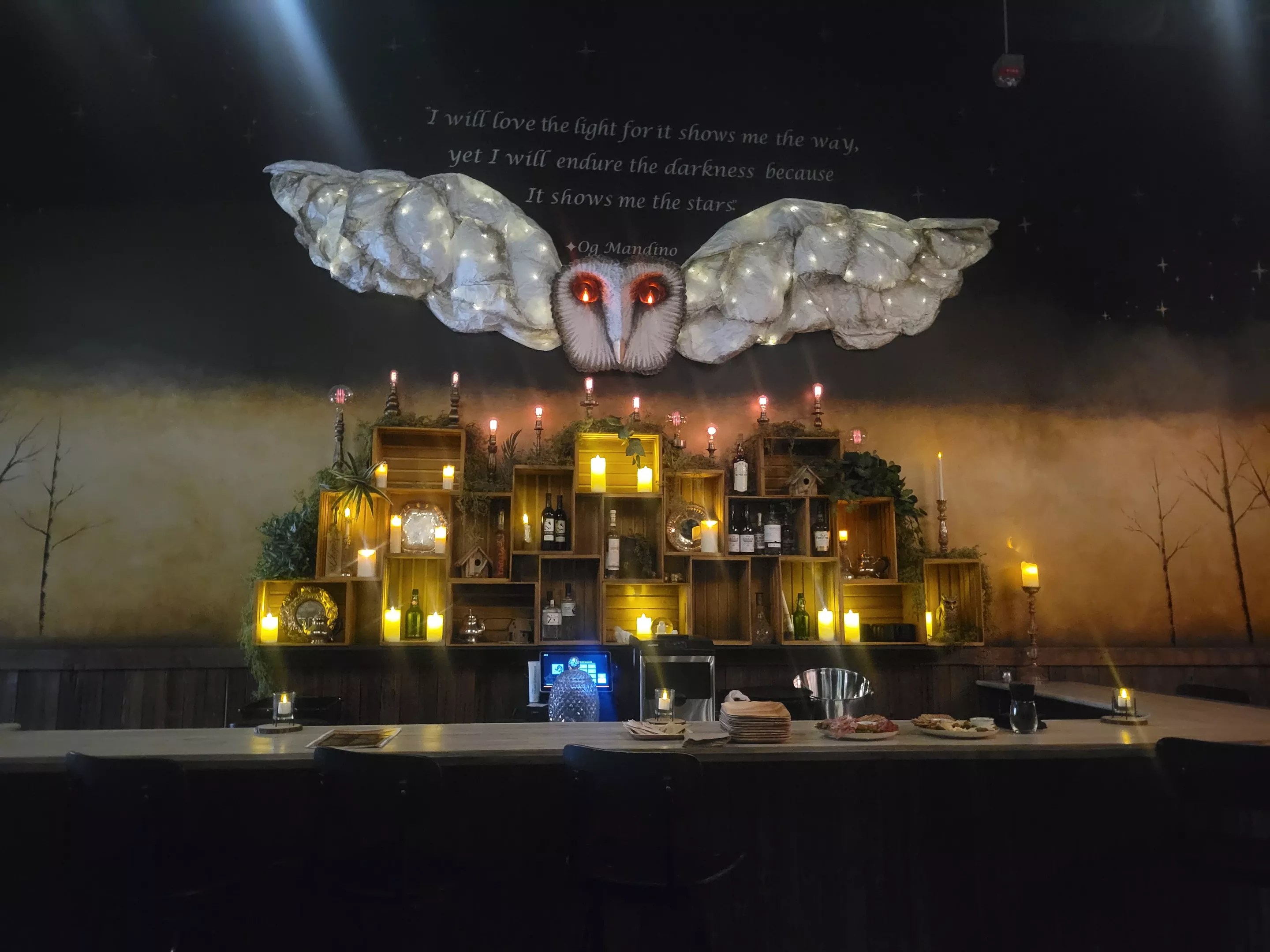 bar with white owl