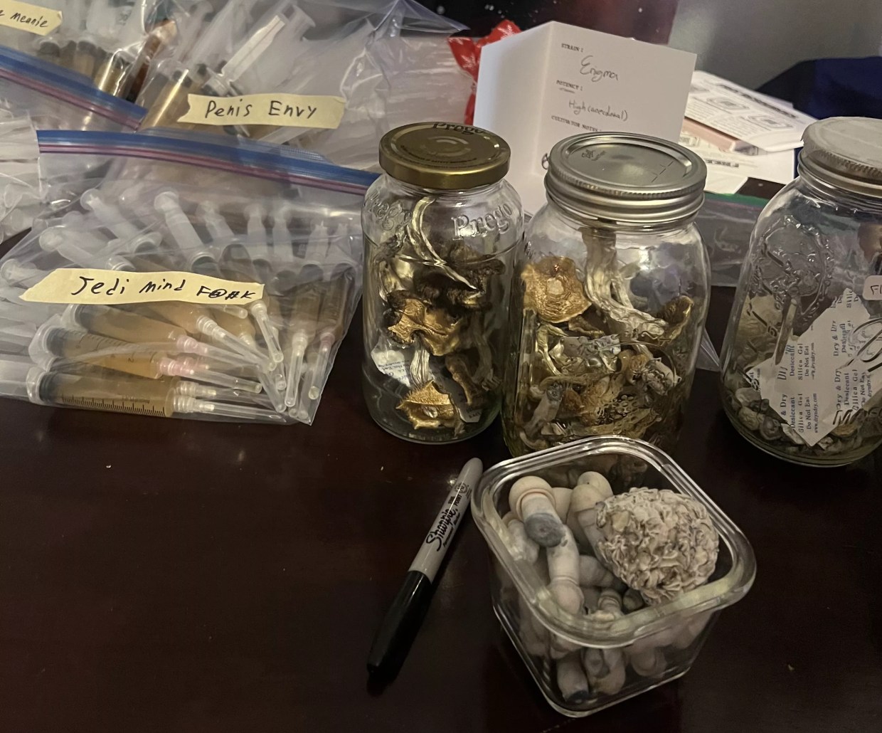 Psilocybin mushrooms and spores on display