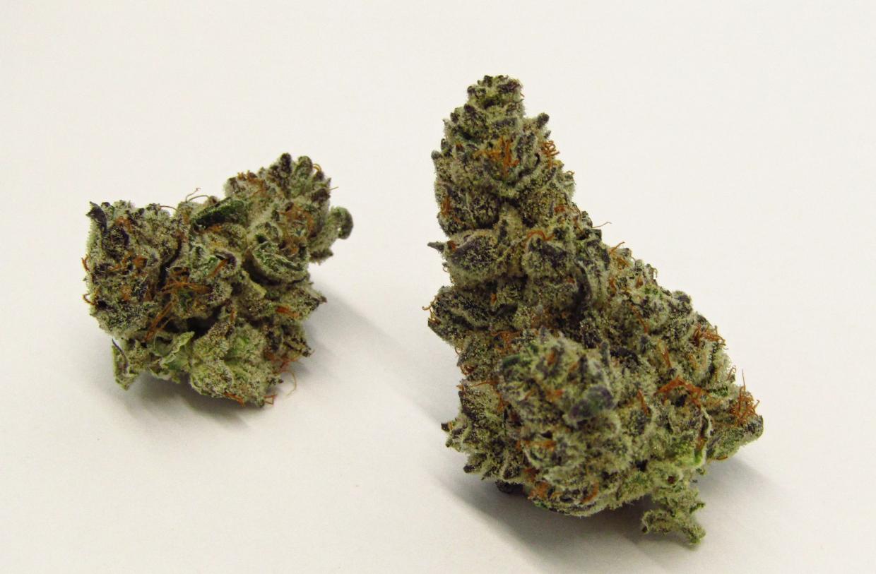 Green cannabis nugs