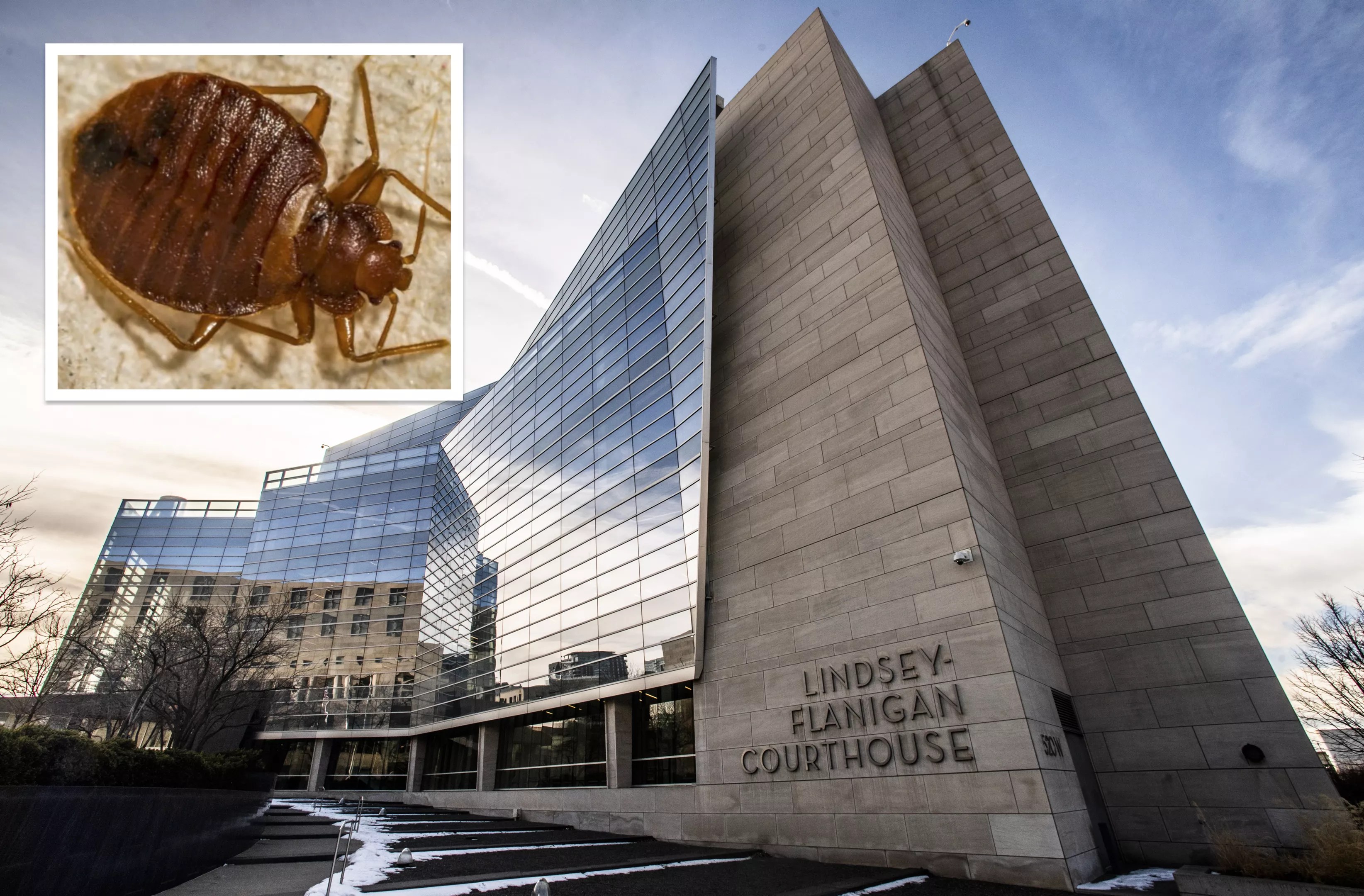The exterior of the Lindsey-Flanigan Courthouse with an enlarged photo of a bedbug ontop.