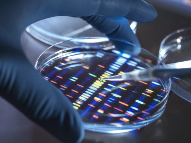 Someone analyzing DNA.