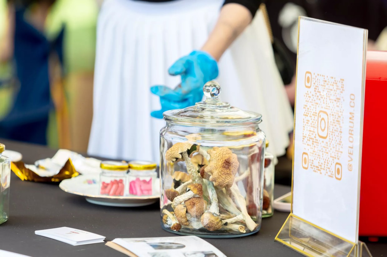 Jar of mushrooms at Denver Shroom Fest