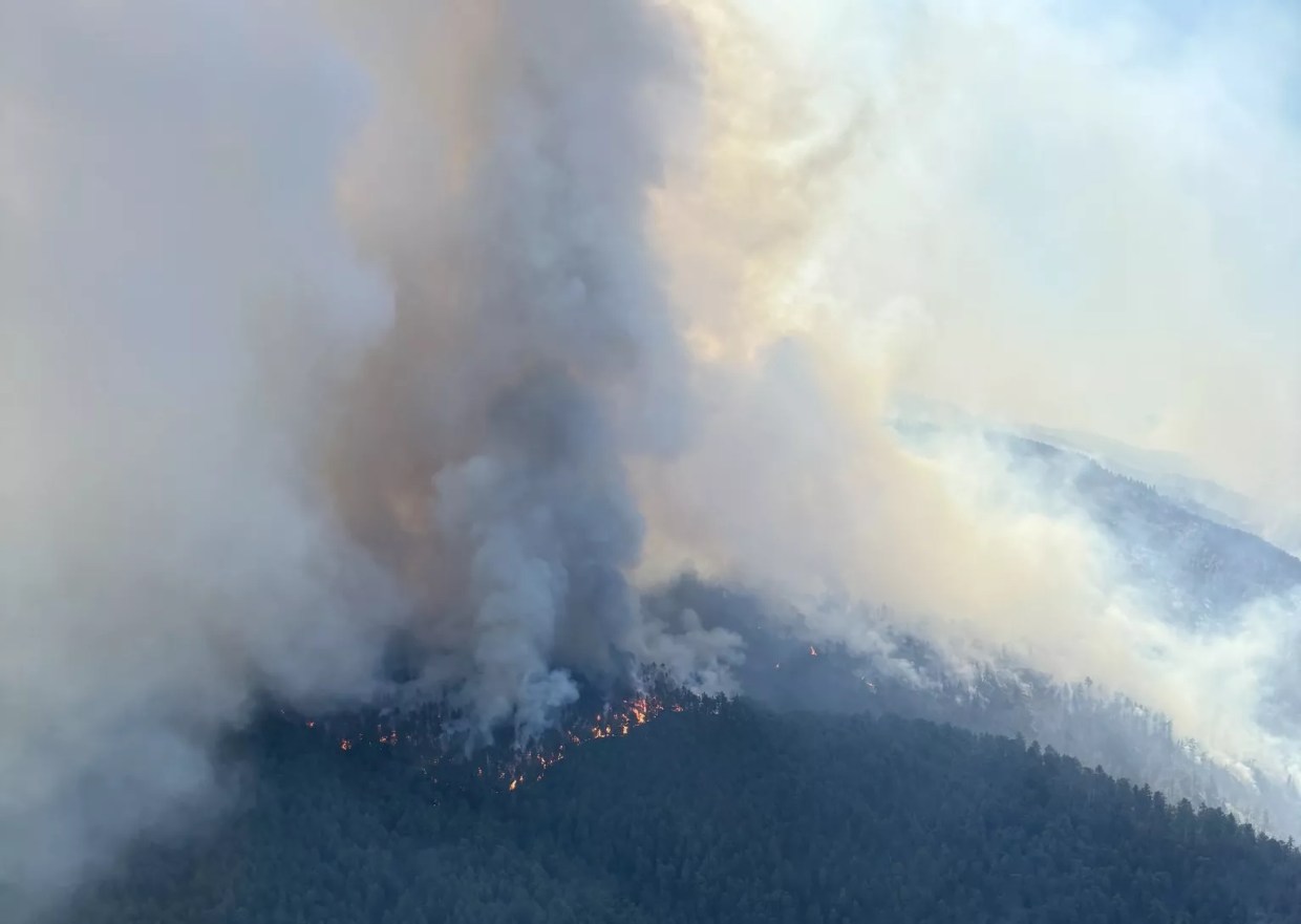 Trees on fire on a mountain top