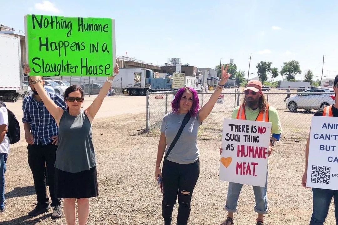 Animal rights protestors hold picket signs