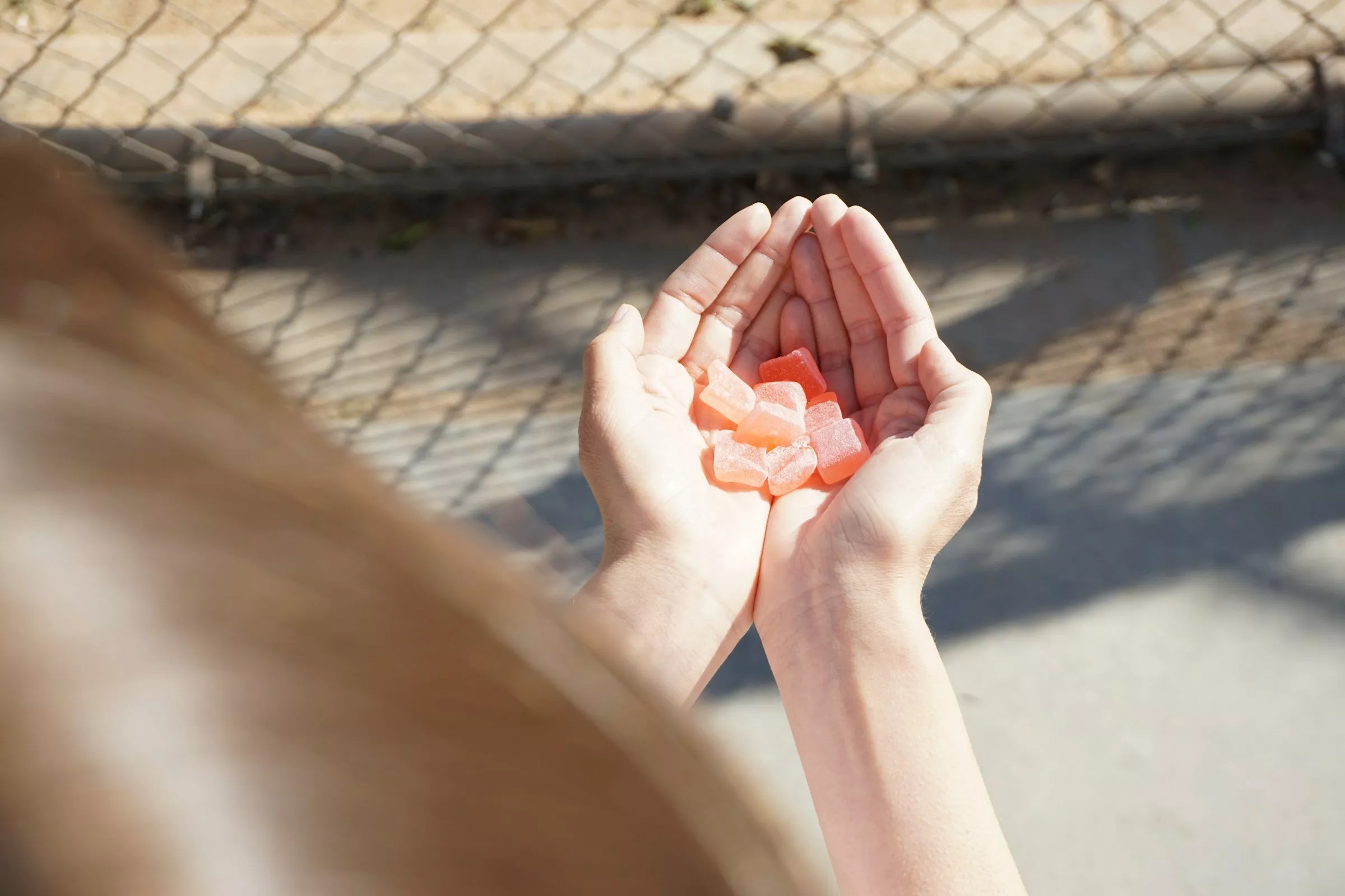 Hands holding CBD gummies