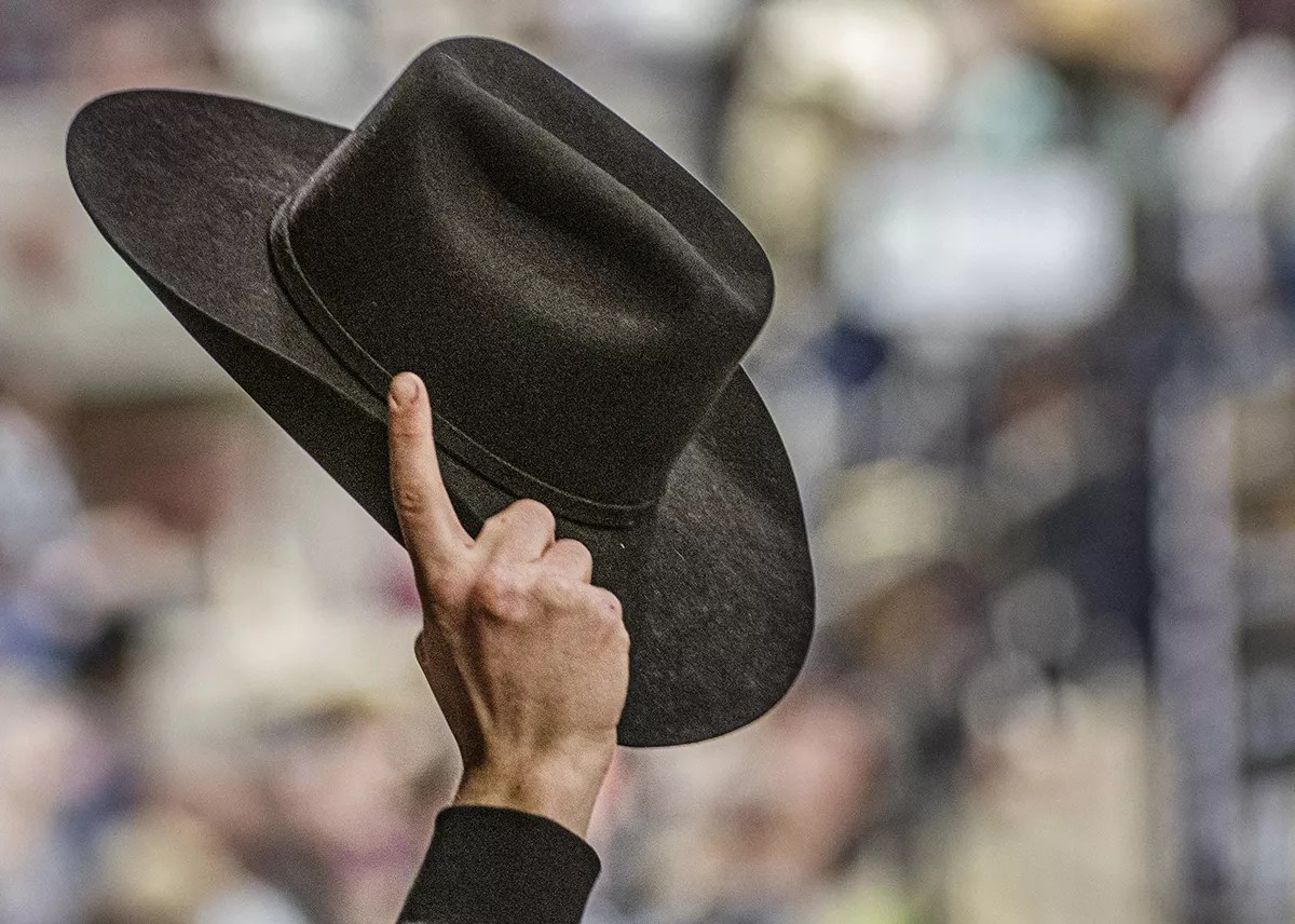 Ten Best Places in Denver to Experience Western Vibes