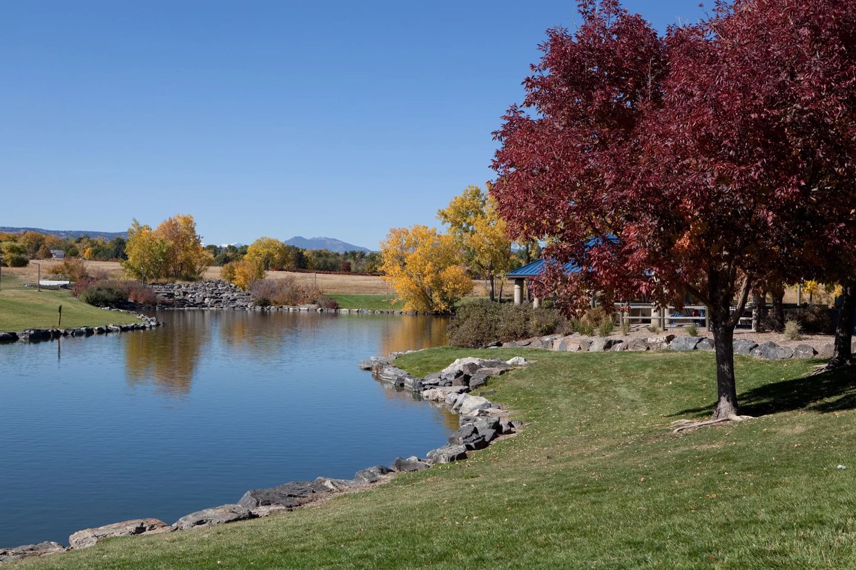 park with lake