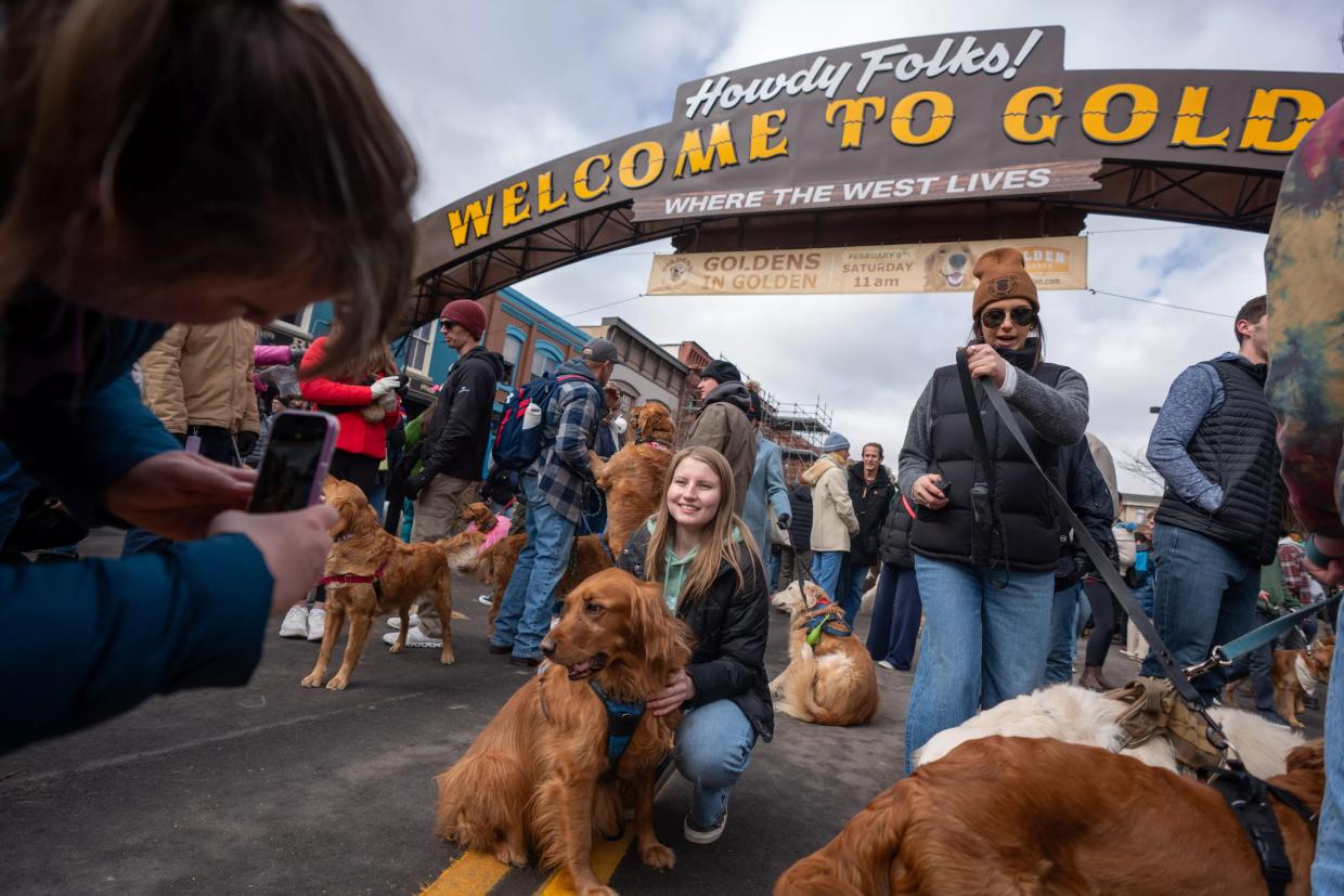 dogs and their owners under golden sign