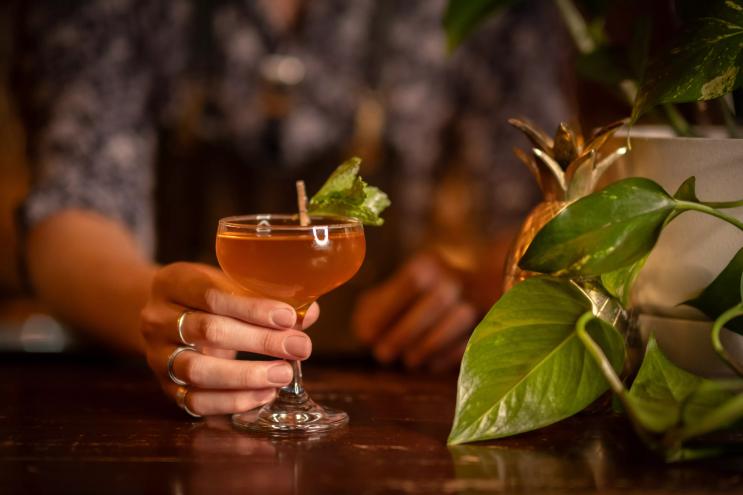 a cocktail