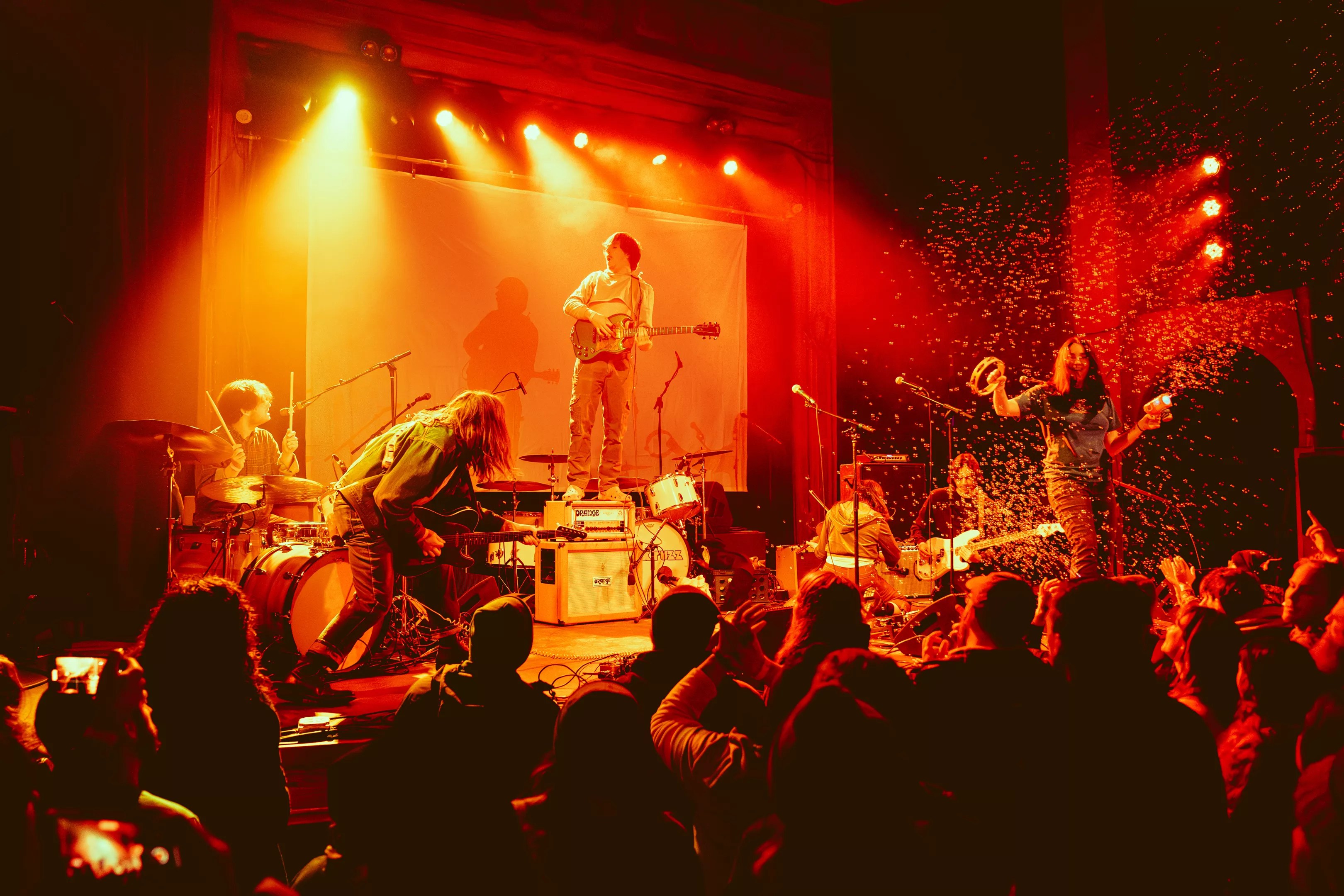 Horse Bitch Talks About Biggest Show Yet — and Dolphin Sex