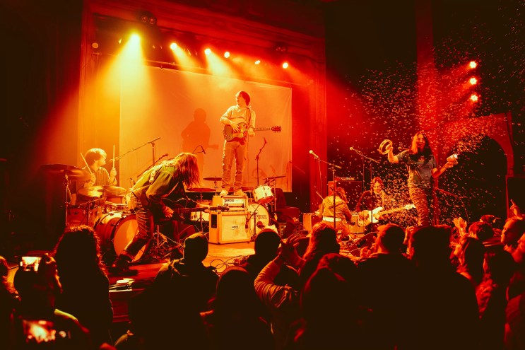 Horse Bitch Talks About Biggest Show Yet — and Dolphin Sex