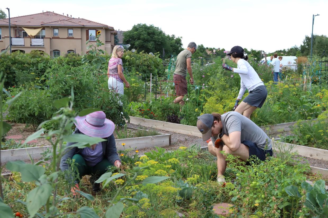 people planting