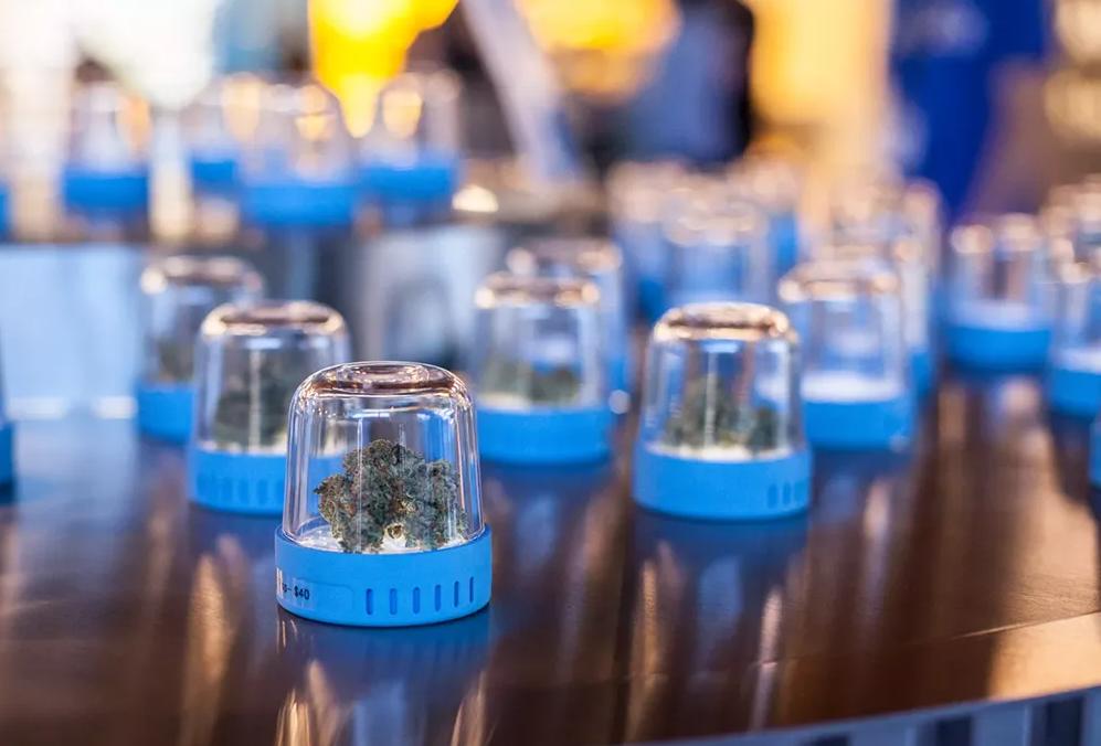 jarred marijuana samples at dispensary