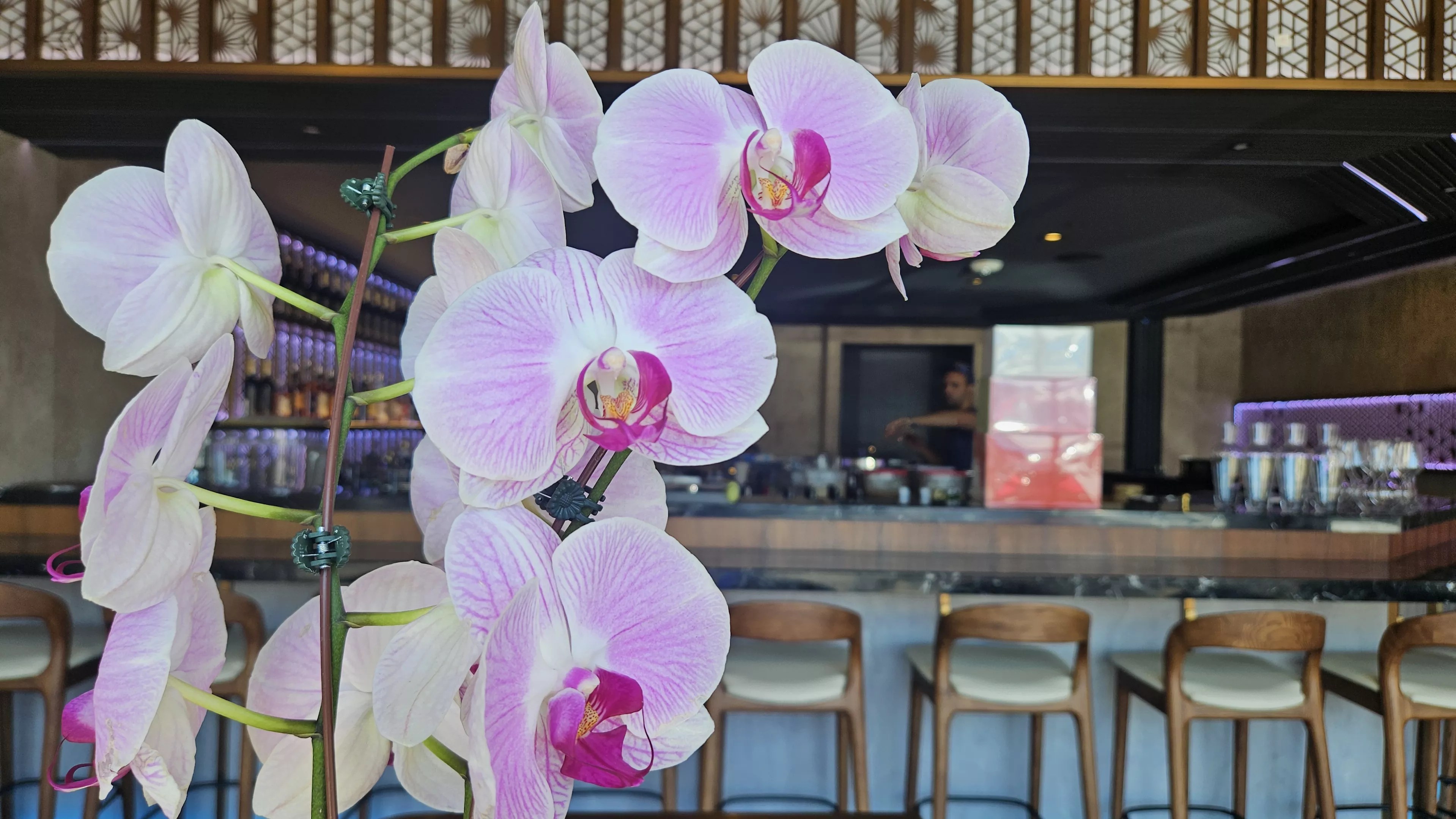 flowers and sushi.