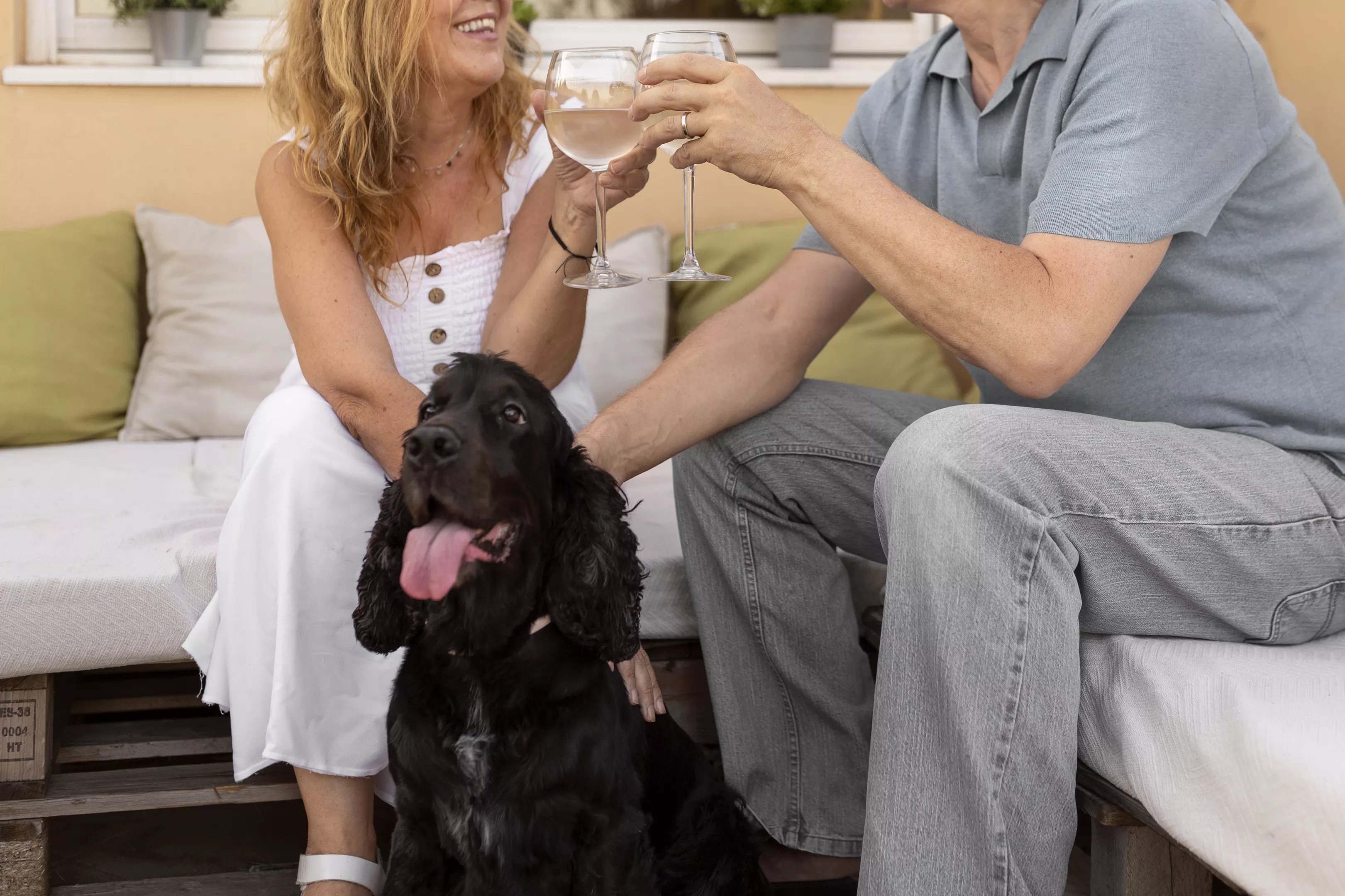 Couple cheering wine glasses with a black dog