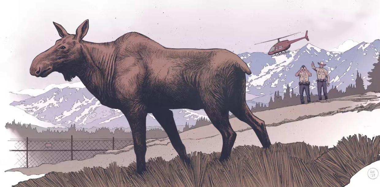moose art