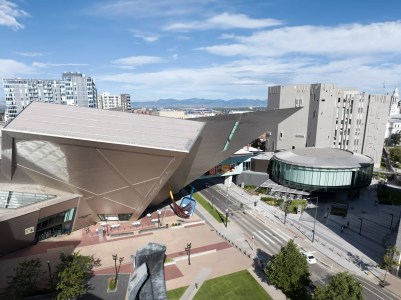 Why the Denver Art Museum Displayed and Removed an AI Label 