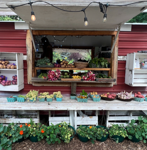 From City to Soil: The Best Agritourism Spots Less Than an Hour From Denver